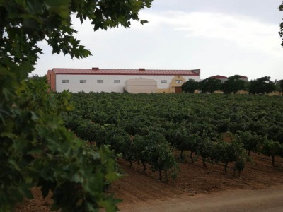 finca florentino perez