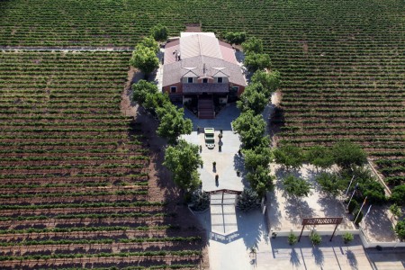 vinedo florentino perez