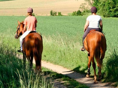 actividades deportivas caballos